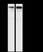 Anti-PDGFR beta Rabbit pAb
