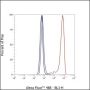 Anti-NCAM1/CD56 Mouse mAb
