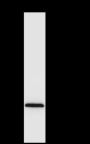 Anti-PGAM2 Rabbit pAb