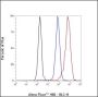 Anti-Monomethyl-Histone H4 (Lys12) Rabbit mAb