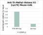 Anti-Trimethyl-Histone H3 (Lys79) Mouse mAb