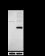 Anti-Phospho-PTP1B (Ser352) Rabbit pAb