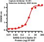 SARS-CoV-2 (COVID-19) Spike S1 Antibody [SP185]
