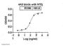 Recombinant SARS-CoV-2 S-NTD antibody