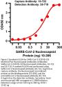 Recombinant SARS-CoV-2 (COVID-19) Nucleocapsid antibody [AbG733]