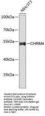 CHRM4 Antibody