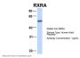 RXRA Antibody