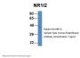 NR1I2 Antibody