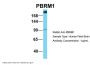 PBRM1 Antibody