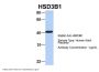 HSD3B1 Antibody