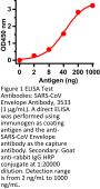 SARS-CoV Envelope Antibody