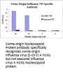 Swine H1N1 Nucleocapsid Protein Antibody