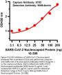 SARS-CoV-2 (COVID-19) Nucleocapsid Antibody