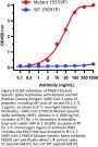 SARS-CoV-2 Spike P681H Antibody (Alpha, Mu Variant)