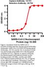 SARS-CoV-2 (COVID-19) Nucleocapsid Matched Pair