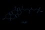 Taurodeoxycholic acid sodium hydrate