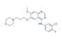Gefitinib