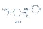 Y-27632 2HCl