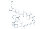 Everolimus