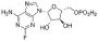 Fludarabine Phosphate