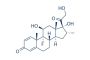 Dexamethasone