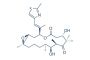 Patupilone (Epothilone B)