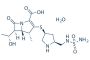 Doripenem Hydrate