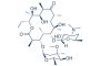 Erythromycin