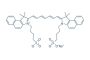 Indocyanine green