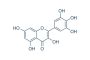 Myricetin