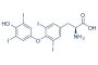L-Thyroxine (Levothyroxine)