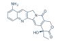 9-amino-CPT (9-Aminocamptothecin)