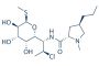 Clindamycin