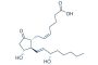 Prostaglandin E2 (PGE2)
