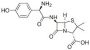 Amoxicillin