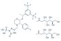 Fosaprepitant dimeglumine salt