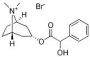 Homatropine Methylbromide