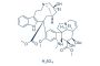 Vinblastine sulfate