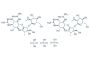 Dihydrostreptomycin sulfate
