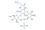 Amikacin Sulfate Salt