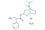 Ipratropium bromide monohydrate