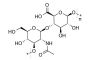 Hyaluronic acid (Hyaluronan)