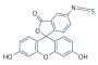 Fluorescein-5-isothiocyanate (FITC)