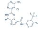Tovorafenib (MLN2480)
