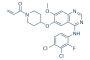 Poziotinib