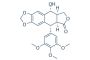 Picropodophyllin (PPP)