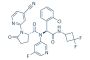 Ivosidenib (AG-120)