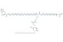 Liraglutide