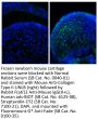 Fluoromount-G® Anti-Fade