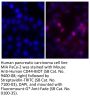 Fluoromount-G® Anti-Fade